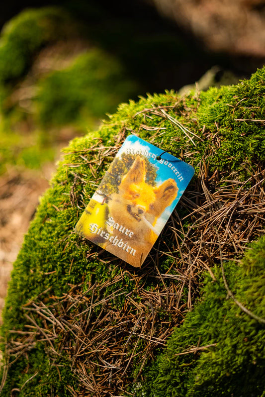 Duftbam 'Saure Hirschbirn' Vorderseite auf bemoostem Stein. MJV Logo in weiß mit Fuchs und Zigarette im Mund. 'Saure Hirschbirn' Duftbaum vom Marderjagdverein.